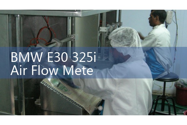 High Accuracy Sanitary Flow Meter: 3A Certified Dairy Sensors